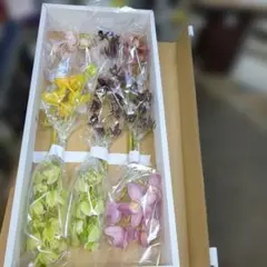 シンビジュウム写真品物全部のサムネイル
