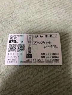 25年 日本ダービー クロワデュノール 現地単勝馬券 3枚セット 期限切れ