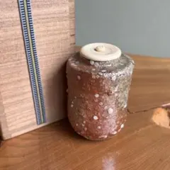 2025年最新】信楽 茶入の人気アイテム - メルカリ