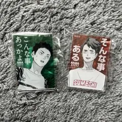 ハイキュー!! 及川徹 岩泉一 SUMESHI すめし アクリルバッジ セット