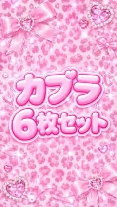 ギャル♡カプラハーフ♡シール ♡6枚セット