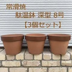 駄温鉢 深型 8号 3個セット 常滑焼 駄鉢のサムネイル