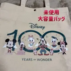 Disney 100周年記念 トートバッグ　キャンパストートバッグ　大容量