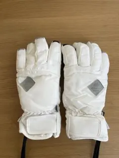 スキーグローブシェーズ