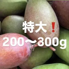 宮古島産 摘果マンゴー大きめ箱込み15kg | Mercari