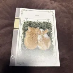 うさぎの診療インフォメーションシート : オーナーに説明したい病気の