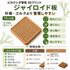2026年最新】コルク ビカクシダの人気アイテム - メルカリ