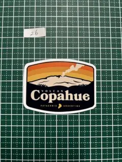 防水ステッカー　パタゴニア　26