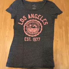 American Eagle グレー Tシャツ S/P
