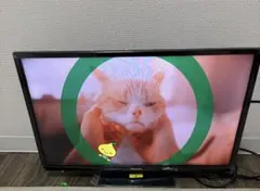 Hisense 液晶テレビ 本体 2020年製のサムネイル