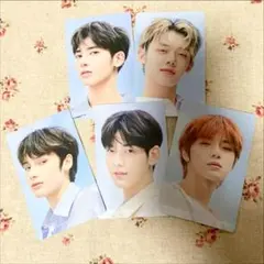 魔女工場 manyo TXT 特典 5枚セット 未開封