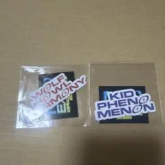 Item thumbnail for item f0b3c5b5-d0e5-4441-badc-d9ebce7a5c18