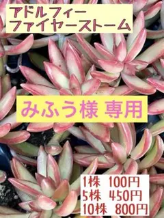 みふう様 リクエスト 3点 まとめ商品