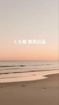 くろ様 専用出品