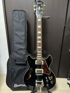 2026年最新】ibanez ギグバッグの人気アイテム - メルカリ