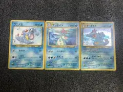 旧裏】ポケカ 12枚セット アリゲイツ(イントロパック)、わるい