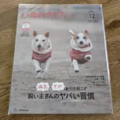 2025年最新】いぬのきもち 12月号の人気アイテム - メルカリ