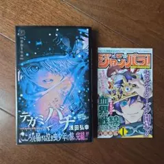 2026年最新】テガミバチ 初版の人気アイテム - メルカリ