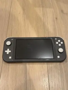 Nintendo Switch Lite グレー 本体