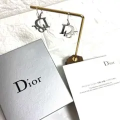【大丸購入/付属品完備/消毒済】Dior ディオール Dロゴ フック ピアス