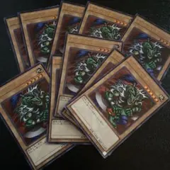遊戯王初期 ルードカイザー字レア 2点目無料 - メルカリ