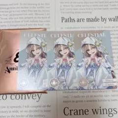 クレアさん セット