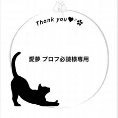 ︎✦︎ 愛夢 プロフ必読様専用ページ︎✦︎