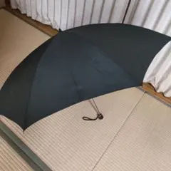 Item thumbnail for item e37af4a5-eb94-417e-9fbb-820d04a3e914