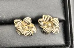 Item thumbnail for item a6788b83-3236-49d2-83fe-ed74dfaf9268