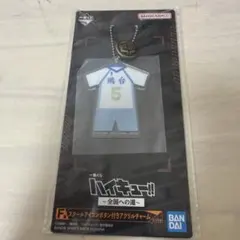 ハイキュー 一番くじ F賞 星海光来 スクールアイコンボタン付きチャーム