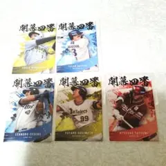 カルビープロ野球チップス2025 第二弾 開幕四番打者