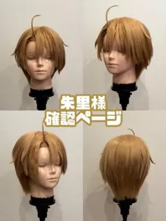 蓮様確認ページ - メルカリ