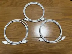 Apple USB-C充電ケーブル1m 3本セット