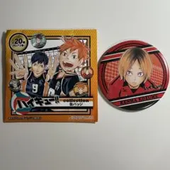 ハイキュー!! コレクション缶バッジ 第5弾 月島蛍 ゲンガタイカン