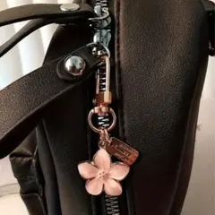 Item thumbnail for item 006a70b4-ce45-44a0-9511-c744082fa7eb