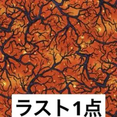 輸入生地　USAコットン(Abra-Cat-Dabra)B