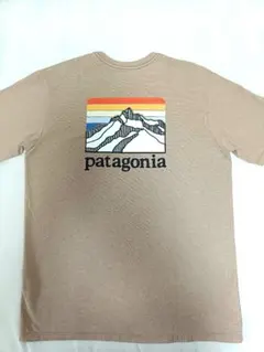 patagonia パタゴニア ライ ロゴリッジ ポケットレスポンシビリティー 