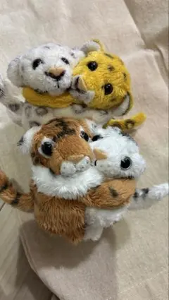 ちょこんとてのひらシリーズ マヌルネコ 2匹セット - メルカリ