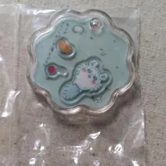 きゃらしゃか　ちいかわ　モモンガ