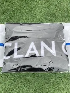 Item thumbnail for item 08d31e82-070f-490a-8ee8-f5a31e7c4b23