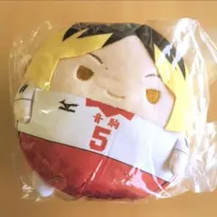 ハイキュー　孤爪研磨　ふわコロりん　Mサイズ　ユニフォーム