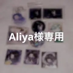 Aliya様専用