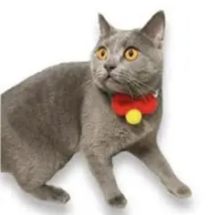 猫首輪 子犬首輪 蝶ネクタイとベルを織りました 調整可能 Sサイズ