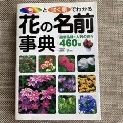 色と咲く順でわかる!花の名前事典 : 最新品種+人気の花々460種