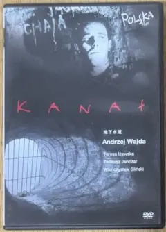 地下水道 DVD アンジェイワイダ