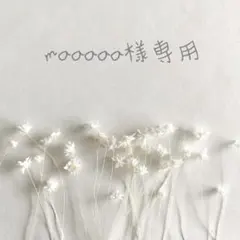 ❁﻿maaaaa様専用ページ❁﻿