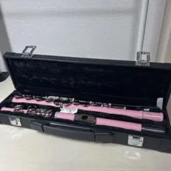 Item thumbnail for item a4a49101-2b32-466c-82f5-e2068b8e64f1