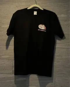 井桁弘恵 瀬戸しお 20周年 キャンペーン 当選品 Tシャツ - メルカリ