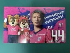 Item thumbnail for item 17bdafc5-2c0f-48a9-aac8-d84fa683ab98