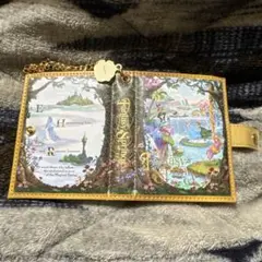 ファンタジースプリングス パスケース コインケース ファンダフルディズニー限定